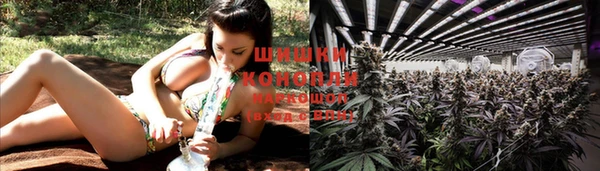 крисы Алагир