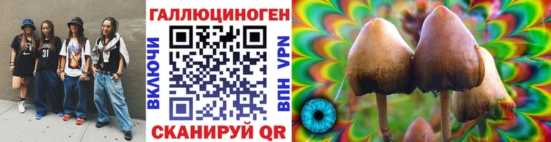 где продают наркотики  Сунжа  Псилоцибиновые грибы мухоморы 