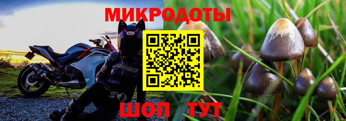 Псилоцибиновые грибы GOLDEN TEACHER  Галлюциногенные грибы MAGIC MUSHROOMS  Сунжа  Вход с VPN 